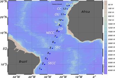 Zooplankton and Micronekton Active Flux Across the Tropical and Subtropical Atlantic Ocean